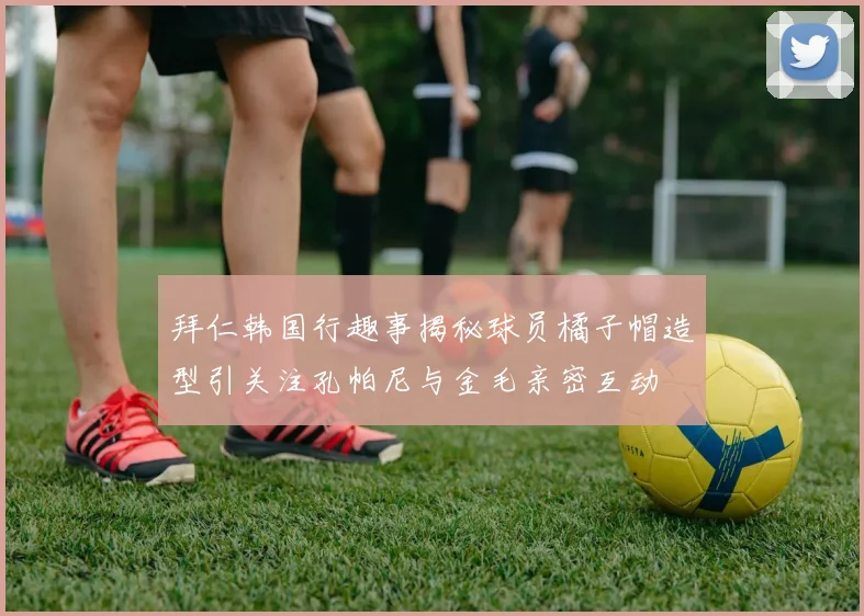 拜仁韩国行趣事揭秘球员橘子帽造型引关注孔帕尼与金毛亲密互动
