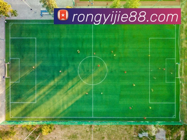 乐鱼平台生态图