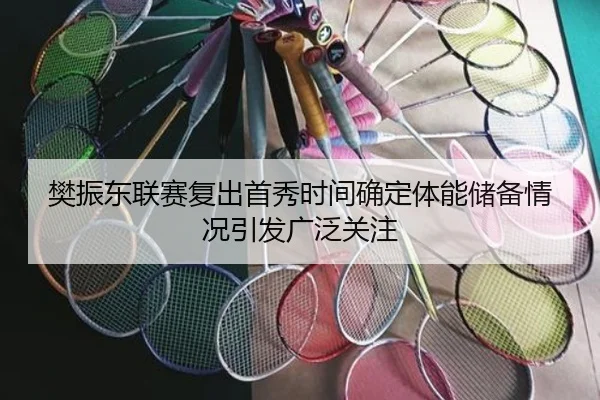 樊振东联赛复出首秀时间确定体能储备情况引发广泛关注
